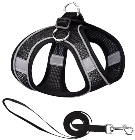 Arnes para Gatos y Perros Pequeños, Arnés Ajustable Antiescape con Correa 150cm, Malla Transpirable y Reflectante, para Paseo Diario, Cómodo y Seguro - Negro