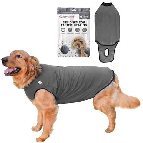 BellyGuard Dog Surgery Recovery Suit, Dog Onesie for Post-Op Care, Recovery Apparel for Female and Male, Surgical Body Cover for Canine Healing Support