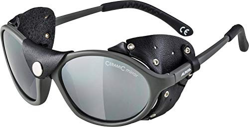 ALPINA SIBIRIA - Kat.4 Gletscherbrille mit seitl. Blend- & Windschutz aus Leder und Gletscherbrille100% UV-Schutz Für Erwachsene, tin-black matt, One Size