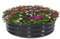 MIKONI Hochbeet Metall Pflanzenbeet Gartenbeet Pflanzkübel Blumenkasten Gemüsebeet Frühbeet Pflanzkasten Pflanzen Verzinkter Stahl Gemüse, Blumen, Sukkulenten,Kräuter (60 x 60 x 30cm - RUND)