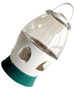 drburpily Abreuvoir pour cailles, Poules, Oiseaux, perroquets, perruches, Distributeur d'eau Portable pour Jardin, Gris, 6L