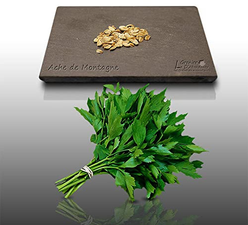 50 graines d'Aromatiques à semer - Le Grenier d'Abondance - ACHE De Montagne - Levisticum officinale