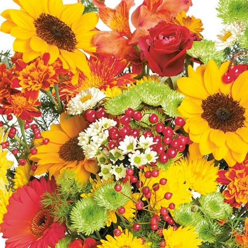 20 Servietten Herbst Großes Herbstbouquet als Tischdeko. Papierservietten mit Motiv. Auch für Decoupage und Serviettentechnik 33x33cm