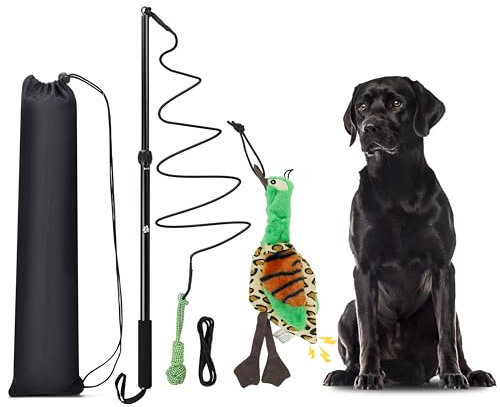 KOXXUD Reizangel Hunde Große Hunde, Profi Reizangel für Kleine Hunde Mittelgroßer Hund Martin Rütter für Ultimativen Spielspaß & Körperliche Auslastung （Seilbälle + Ente）