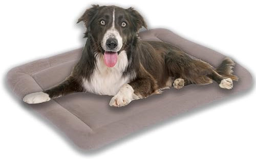 MyBestBuddy Hundekissen Komfort Hellbraun/beige 90x70 cm XL, allergikerfreundlich, rutschfest - 40°C waschbar mit flauschigem Stoffbezug - Hundematte BZW. Hundebett für große Hunde
