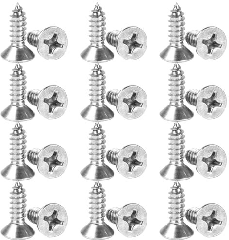 WKRTDY Tornillos para madera de acero inoxidable M3 x 10mm, 100 piezas con cabeza autorroscante de la cruz y forma plana redonda, Ideal para proyectos de bricolaje y reparaciones