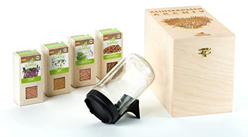 FLORTUS BIO Keimsprossen Archiv Geschenkbox SCHARF - inkl. 4 Sprossensorten | Daikon-Rettich, Radieschen, Bockshornklee & Senf | Geschenkset mit Sprossenglas | Keimsprossenbox Holzbox mit Deckel