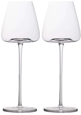 Intirilife 2x Verre à vin au design moderne - Capacité de 500 ml - Verre à vin rouge vin blanc, calice, lavable au lave-vaisselle, verre en cristal, résistant aux chocs