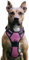 No Pull Hundegeschirr, Verstellbar Atmungsaktiv Reflektierend Weich Gepolstert Hunde Geschirr, Brustgeschirr für Hunde (Rosa, L)