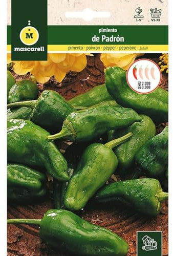 Mascarell Semillas, PIMIENTO, Semillas Huerto, PIMIENTO DE PADRÓN, Crea tu Propio Huerto Urbano y Cultivo en Casa, Plantas Hortícolas, 1 Gramos