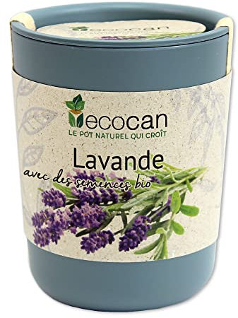Feel Green Ecocan, Lavande Certifiées Bio, Idée Cadeau (100% Biodégradable), Grow-Your-Own/Kit Prêt-à-Pousser, Le Pot Écologique Qui Croît 9 x 7 cm, Produit en Autriche