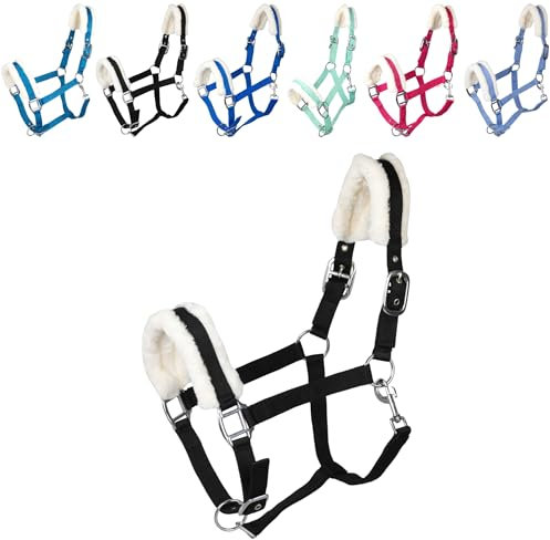RL24 - Halfter mit Plüschpolsterung Basicline | Halfter für Pferde & Ponys | Pferdehalfter mit nietenverstärkten Verschlüssen & Karabinerhaken zum Öffnen | Pferde Zubehör in Schwarz | Pony