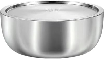 F Fityle Bacinella in Acciaio Inox, Contenitore per Lavare i Piatti, Grande Contenitore per stoviglie con Coperchio per la Cottura, la conservazione degli, 28 Cm