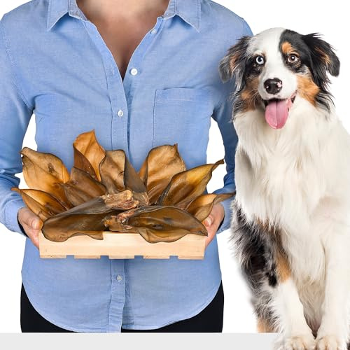 Orecchie di manzo da masticare per cani – 10 pezzi | orecchie di manzo naturali essiccate per cani | ricche di proteine & povere di grassi | igiene dentale | piacere di masticazione sano senza additiv