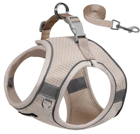 AIITLE Dog Harness and Leash Set, No Pull Step in Puppy Harness with Super Breathable Mesh, Reflective Puppy Essentials for Outdoor Walking, Training for Small Dogs, Cats Beige XS
