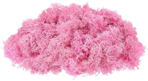 QUARKZMAN Muschio Di Renna Conservato, 17.6oz Muschio Finto Per Artigianato Artificiale Essiccato Per Decorazione Terrari Piante In Vaso, Rosa Rosa