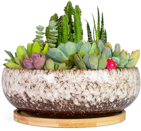 ARTKETTY Succulent Pots - 20 CM Large Succulent Planters Ceramic Bonsai Pot with Drainage Tray for Indoor Plants Garden Decorative Cactus Flower Plant Container Bowl