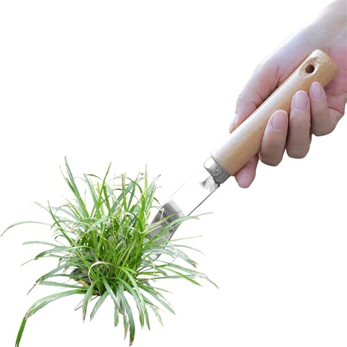 Kanoauo Outil De Désherbage - Outil de Désherbage pour Patio,Extracteur de Racines en Acier Inoxydable pour Jardinage Manuel, Aménagement Paysager, Parterres de Fleurs et Jardin Arrière