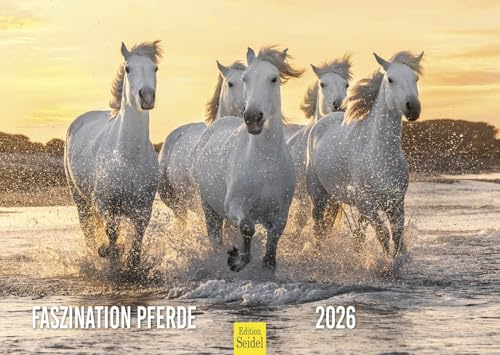 Edition Seidel Calendario premium fascinación caballos 2026 formato DIN A3 calendario de pared calendario de caballos animales potro yegua semental agua juegos