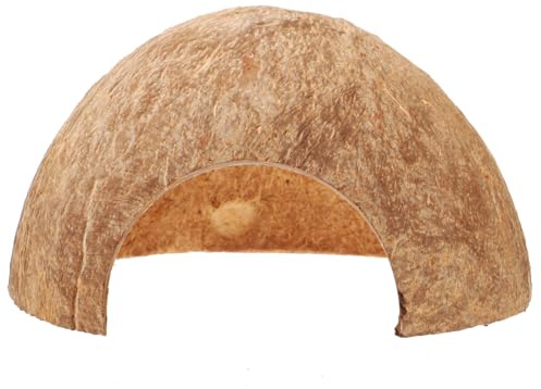Gatuida Cachette Reptile Coquille de Noix et Naturelle Décor Terrarium Élégant pour Lézards et Crabes Hermites Abri Sécurisé pour Petits Animaux