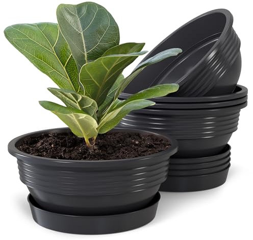 Plastard Pflanzschale mit Untersetzer im 5er Set in Anthrazit 25 cm Durchmesser große runde Blumenschalen aus Kunststoff für Garten Terrasse Wohnung für Aussen und Innen Schalen Pflanztopf