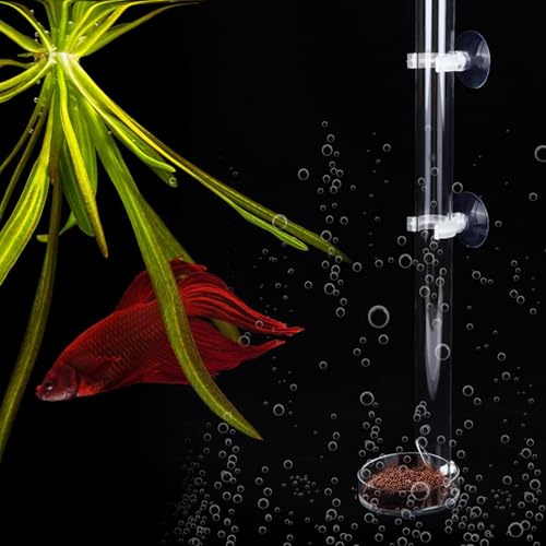 Generic Tubo de Alimentación Transparente y Duradero para Acuario para Peces y Camarones con Bandeja, Fácil Instalación, Adecuado para Camarones de Cristal, para Peces Tropicales, Material Acrílico