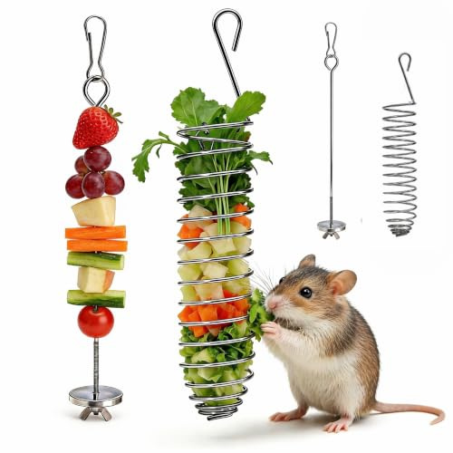 2Pcs Rat Enrichment Toys and Bird Food Holder for Cage, Stainless Steel Rat Foraging Toy, Hanging Rodent Toys Slow Feeder Fruit Skewers for Parakeet, Hamster, Budgie