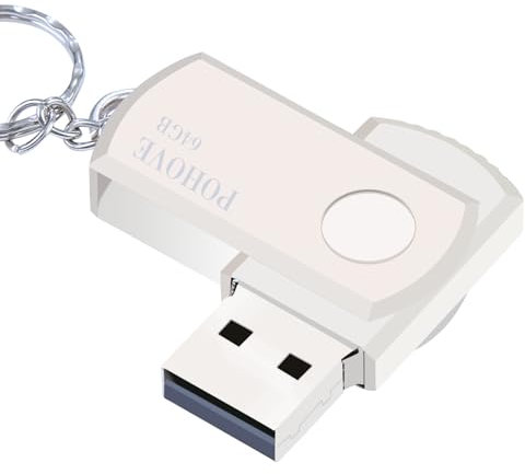 Unità Flash USB 2.0 64GB,Unità Flash Stick Stile Penna,64 GB Memoria Esterna,Adatto Per Computer, Altoparlanti e Altri Dispositivi Con Porte USB