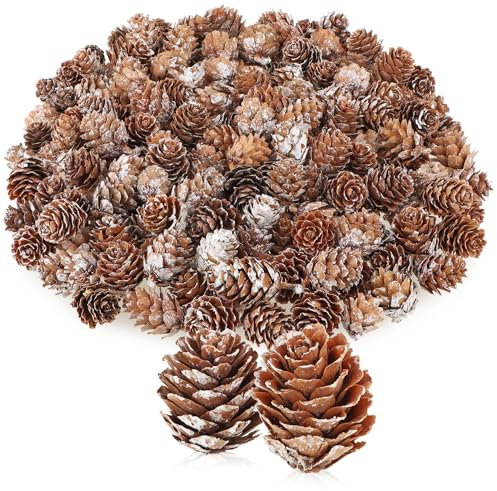 com-four® 200x pigne Decorative di larice - Decorazioni sparse per l'autunno e l'inverno - Decorazioni di Coni - Piccole pigne di larice - pigne (200x pigne di larice Bianche)