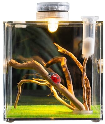 Clear Reptile Cage - Premium Jumping Spider Fence with Ventilation | Lightweight Breeding Box for Small Animals: Turtles, Beetles, Slugs & Lizards, Escape Proof Terrarium with Coper