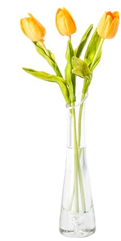 Vaso da fiori piccolo da 23 cm, alto e sottile, in vetro, trasparente, a stelo singolo, per decorazione domestica, soggiorno, ufficio e centrotavola