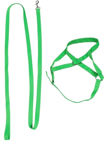 VALICLUD Licol en Nylon Réglable Vert avec Corde pour Chevaux Veaux Ânes et Chèvres – Harnais de Dressage pour Bovins Adapté à la Conduite et Manipulation Sécurisée en Élevage