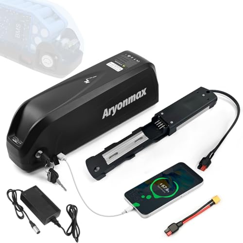48V Ebike Battery 20Ah with Charger 4 Pin Base, Lithium Electric Bike Battery for 1500W 1000W 800W 750W 500W 350W Motor, for Bafang AW Most Ebike Conversion Kit