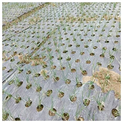 Film plastique gaufré avec trous de plantation, 10 m Noir 5 trous Film de paillis PE Paillis plastique 0,02 mm Plantes agricoles Film de couverture Protection contre le gel Garder au chaud Contrôle de