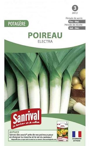 Graines Poireau electra