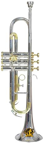 Sound SAGA trumpet BB stigning, premiumkvalitet inklusive munstycke och bärväska (NICKEL Mässing)