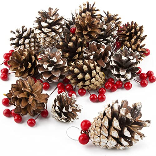 VINFUTUR 18pcs Tannenzapfen Anhänger Natur und Weiß Tannenzapfen+100pcs Mini Künstliche Beeren Rot Weihnachtsbeeren für Weihnachtskranz Weihnachtsbaum Weihnachtsgirlande DIY Basteln Handwerk Homedeko
