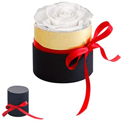 Vusddy Mini Scatola Regalo Rosa eterna,Bianco Rose Stabilizzate Fatte a Mano,Regalo di San Valentino,Regali per la mamma,RosaEterna,Fiore Mai Appassito,Rosa Stabilizzata,Un regalo per lei