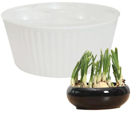 Hydroponisk planterare – 3-håls glödlampskruka för hyacint och påsklilja | Lättskött självvattnande blomkruka för inomhusplantering | Kompakt design fönsterbräda, skrivbord och bokhylla