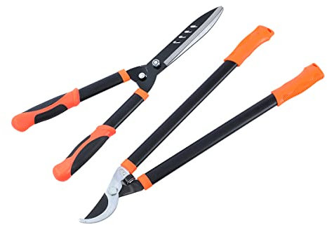 LINZI Juego de 2 tijeras de podar para jardín, tijeras de podar manuales para jardín, cortadores de ramas (económico)