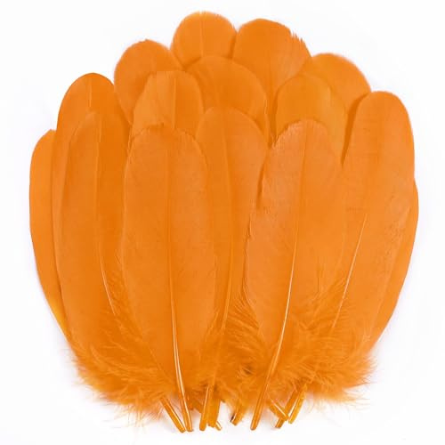 Holmgren Orange Goose Feathers Bulk - 200pcs 5-7inch Big Goose Feather Bulk for DIY Crafts Mask Hatband Wing Costume Accessories and Halloween Party Home Decorations (Orange)