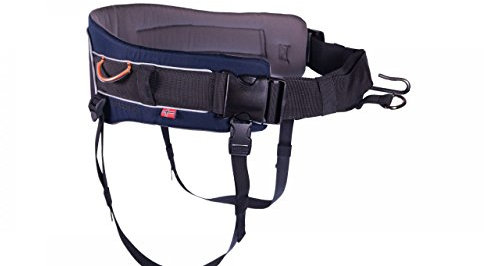 Trekking Belt von Nonstop, Laufgurt,Jogginggurt, Wandergurt für Hunde (M, Blue)
