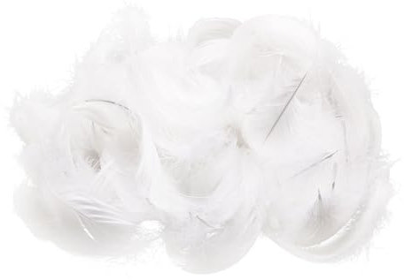 EUPSIIU 200 Stück Bastel Federn Weiß Weiß Deko Federn, Federn Basteln, Natürliche Federn, für DIY Ohrring, Hochzeit, Traumfänger, Kopfschmucksfedern, Ostern, Weihnachten