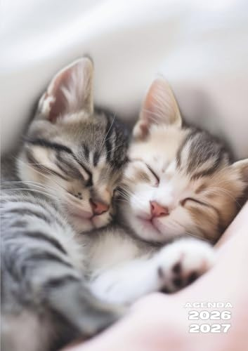 Agenda Scolaire: Chat, Chaton, Animaux, Mignon | Journalier, Un Jour par Page | 12x17 cm, Format Standard, Léger | Ecole Primaire, CP, CE1, CE2, CM1, ... Etudiant | Enfant, Fille, Garçon, Ado