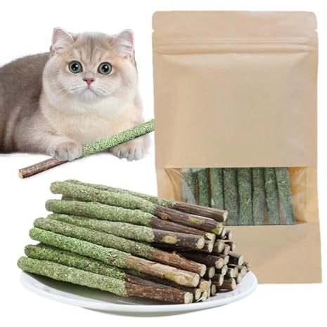 Bâtons de Chat Snack pour Animaux de Compagnie, bâtons de Dentition pour Chat - Mâchage à mâcher pour Chats d'intérieur - Bâtons pour Jouets avec Chat pour