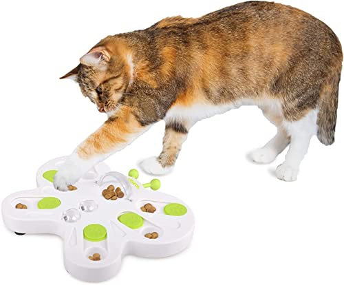 ALL FOR PAWS Katzen-Intelligenzspielzeug-Katzenspielzeug Intelligenz, Interaktives Lernspielzeug für Katzen Aller Altersgruppen, Katzenspielzeug für IQ-Training