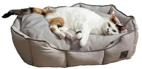 ENGLISH HOME Katzenbett, Katzenbetten für Innenkatzen, Abnehmbarer Bezug, maschinenwaschbares Hundebett, gefülltes Kissen, Haustierbett für Hunde und Katzen 40x60x17 cm, Grau