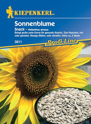 Kiepenkerl Profi-Line Sonnenblumensamen Snack 3611 - Große, zarte Kerne, goldgelbe Blüten, 2m Wuchshöhe, ideal für Bienen und Schmetterlinge - Blumensamen Mischung für 20 Korn