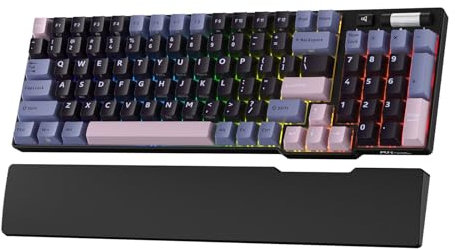 RK ROYAL KLUDGE RK96 RGB Limited Ed, 90% 96 Tasten Kabellose Tri-Modus BT5.0/2.4G/USB-C Hot-Swap-fähige Mechanische Tastatur mit Handballenauflage, Software-Unterstützung, Taktile Schalter, QWERTY