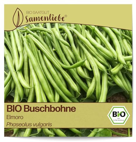 Samenliebe BIO Buschbohnen Samen Elmoro geschmackvolle Filetbohne lange Bohne schwarz grün 10 Samen samenfestes Gemüse Saatgut für Gewächshaus Freiland und Balkon BIO Gemüsesamen